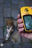 GPS Speurtocht in Eindhoven